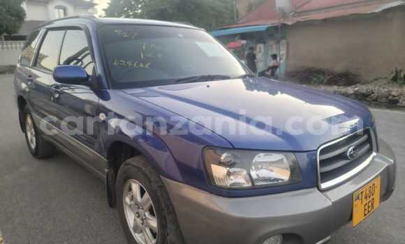 Nunua Ilio tumika Subaru Forester Bluu Gari ndani ya Ilala nchini Dar es Salaam Nunua Ilio tumika Subaru Forester Bluu Gari ndani ya Ilala nchini Dar es Salaam