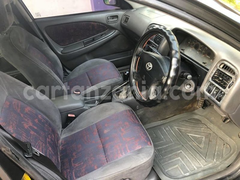 Big with watermark 51294660 10156691717017254 5291665227845206016 o