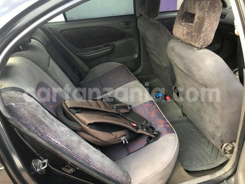 Big with watermark 51217566 10156691717082254 2228950033619746816 o