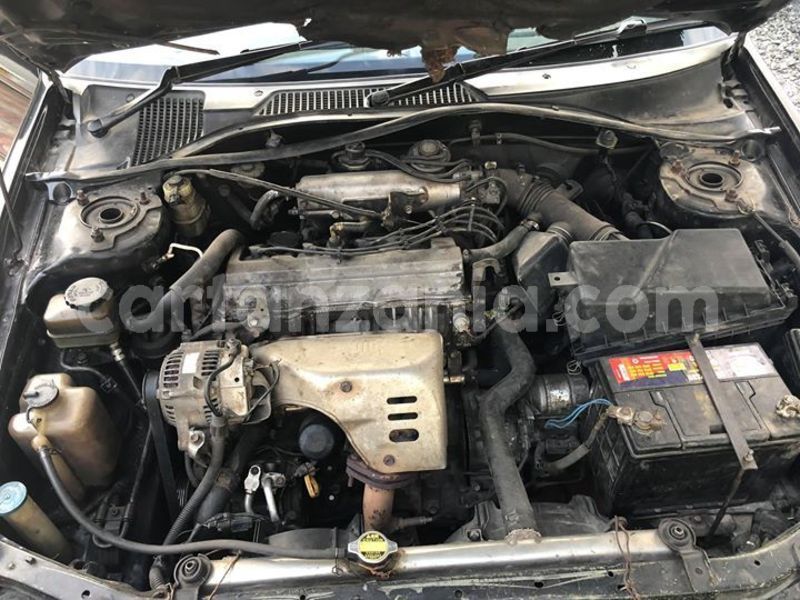 Big with watermark 51221392 10156691717137254 6266371788968558592 o