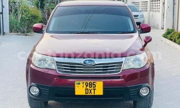 Buy Used Subaru Forester Red Car in Dar es Salaam in Dar es Salaam
