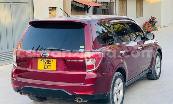 Nunua Ilio tumika Subaru Forester Nyekundu Gari ndani ya Dar es Salaam nchini Dar es Salaam Nunua Ilio tumika Subaru Forester Nyekundu Gari ndani ya Dar es Salaam nchini Dar es Salaam