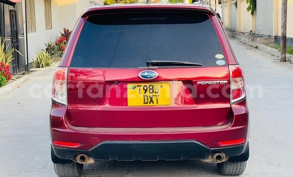 Nunua Ilio tumika Subaru Forester Nyekundu Gari ndani ya Dar es Salaam nchini Dar es Salaam Nunua Ilio tumika Subaru Forester Nyekundu Gari ndani ya Dar es Salaam nchini Dar es Salaam