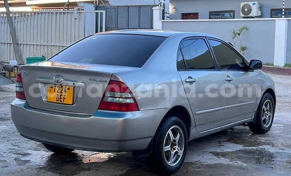 Nunua Ilio tumika Toyota Corolla Nyingine Gari ndani ya Dar es Salaam nchini Dar es Salaam Nunua Ilio tumika Toyota Corolla Nyingine Gari ndani ya Dar es Salaam nchini Dar es Salaam