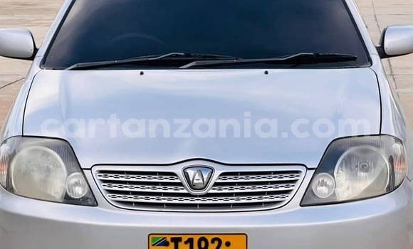 Buy Used Toyota Allex Silver Car in Dar es Salaam in Dar es Salaam