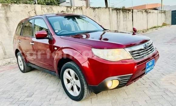 Buy New Subaru Forester Red Car in Dar es Salaam in Dar es Salaam Buy New Subaru Forester Red Car in Dar es Salaam in Dar es Salaam