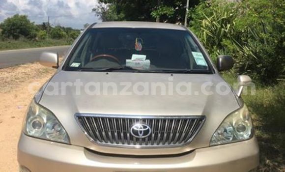 Nunua Ilio tumika Toyota Harrier Beige Gari ndani ya Dar es Salaam nchini Dar es Salaam Nunua Ilio tumika Toyota Harrier Beige Gari ndani ya Dar es Salaam nchini Dar es Salaam