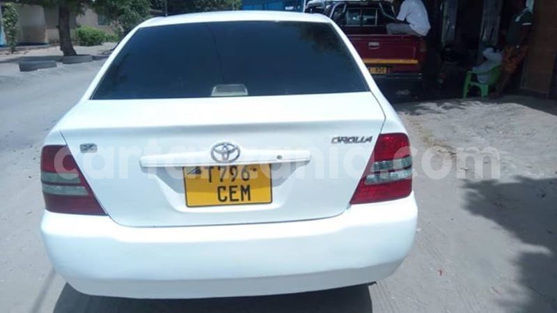 Big with watermark 51626475 177645793207265 8560969435634991104 n