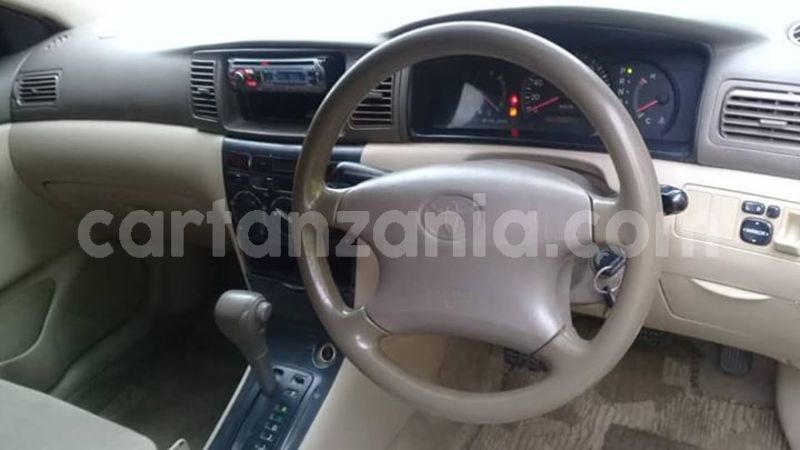 Big with watermark 51487269 177645849873926 5721020206344568832 n