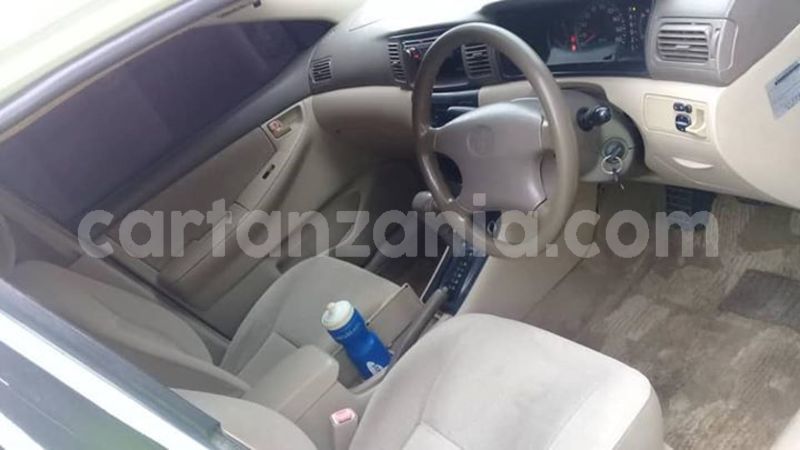 Big with watermark 51555056 177645863207258 3192880053646000128 n