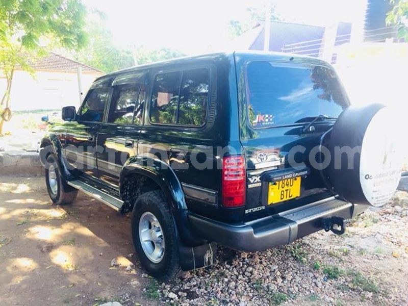 Big with watermark 51559106 177629139875597 1224514597931712512 n