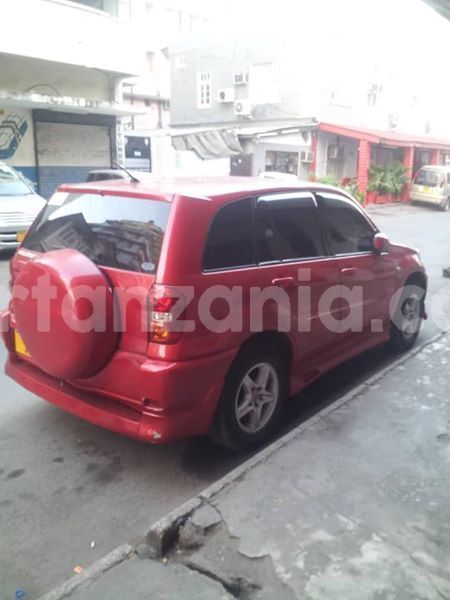 Big with watermark 51341448 177506349887876 8830727823166537728 n