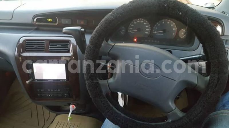 Big with watermark 51356306 176687086636469 1195474996898562048 n