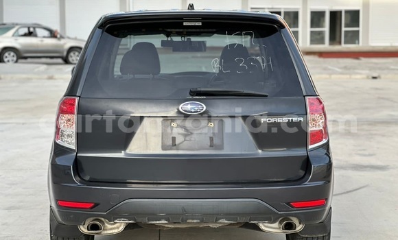 Buy Import Subaru Forester Black Car in Dar es Salaam in Dar es Salaam Buy Import Subaru Forester Black Car in Dar es Salaam in Dar es Salaam