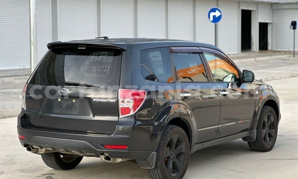 Buy Import Subaru Forester Black Car in Dar es Salaam in Dar es Salaam Buy Import Subaru Forester Black Car in Dar es Salaam in Dar es Salaam