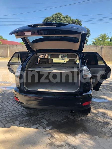 Big with watermark 51316416 176572329981278 9051204162510913536 n