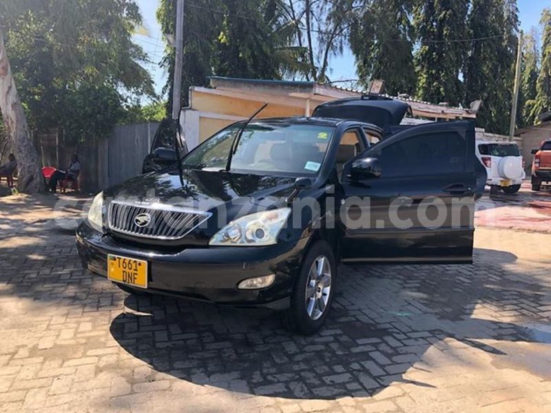 Big with watermark 51141411 176572383314606 7482313404544188416 n