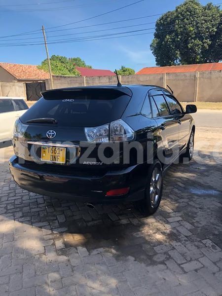 Big with watermark 51434243 176572413314603 4621057375074254848 n