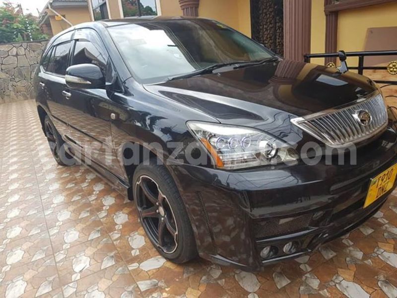 Big with watermark 51297185 176412969997214 2320454857321873408 n