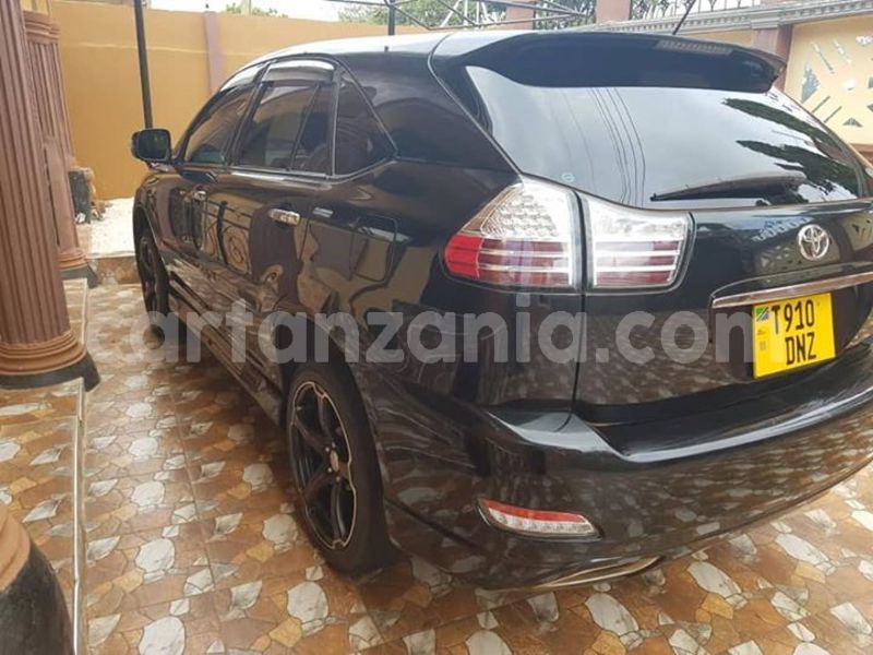 Big with watermark 51112714 176413023330542 5430966109769564160 n