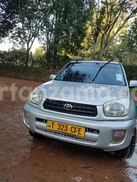 Big with watermark 51007236 176354386669739 4167596811021713408 n