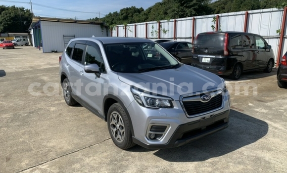 Nunua Imported Subaru Forester Fedha Gari ndani ya Dar es Salaam nchini Dar es Salaam Nunua Imported Subaru Forester Fedha Gari ndani ya Dar es Salaam nchini Dar es Salaam