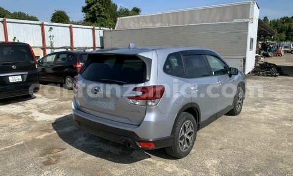Nunua Imported Subaru Forester Fedha Gari ndani ya Dar es Salaam nchini Dar es Salaam Nunua Imported Subaru Forester Fedha Gari ndani ya Dar es Salaam nchini Dar es Salaam