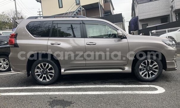 Nunua Ilio tumika Toyota Land Cruiser Prado Brown Gari ndani ya Bukombe nchini Geita