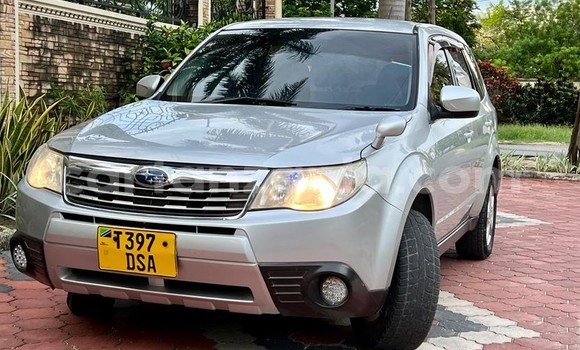 Buy Used Subaru Forester Silver Car in Dar es Salaam in Dar es Salaam Buy Used Subaru Forester Silver Car in Dar es Salaam in Dar es Salaam