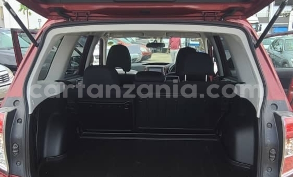 Nunua Ilio tumika Subaru Forester Nyingine Gari ndani ya Dar es Salaam nchini Dar es Salaam Nunua Ilio tumika Subaru Forester Nyingine Gari ndani ya Dar es Salaam nchini Dar es Salaam