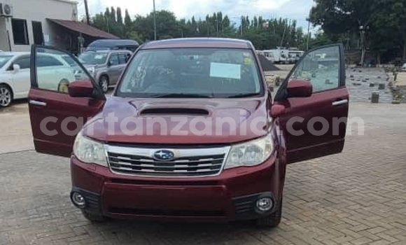 Nunua Ilio tumika Subaru Forester Nyingine Gari ndani ya Dar es Salaam nchini Dar es Salaam Nunua Ilio tumika Subaru Forester Nyingine Gari ndani ya Dar es Salaam nchini Dar es Salaam
