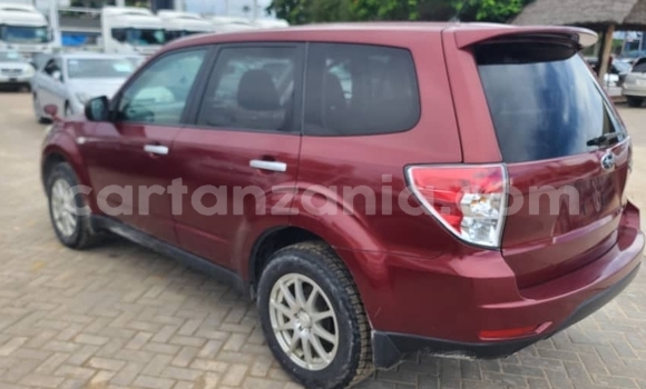 Nunua Ilio tumika Subaru Forester Nyingine Gari ndani ya Dar es Salaam nchini Dar es Salaam Nunua Ilio tumika Subaru Forester Nyingine Gari ndani ya Dar es Salaam nchini Dar es Salaam