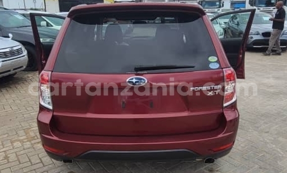 Nunua Ilio tumika Subaru Forester Nyingine Gari ndani ya Dar es Salaam nchini Dar es Salaam Nunua Ilio tumika Subaru Forester Nyingine Gari ndani ya Dar es Salaam nchini Dar es Salaam