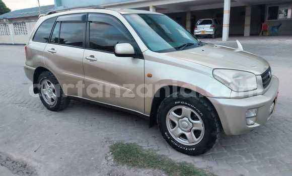 Buy Used Toyota RAV4 Other Car in Babati Urban in Manyara