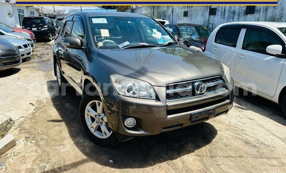 Buy New Toyota RAV4 Brown Car in Dar es Salaam in Dar es Salaam