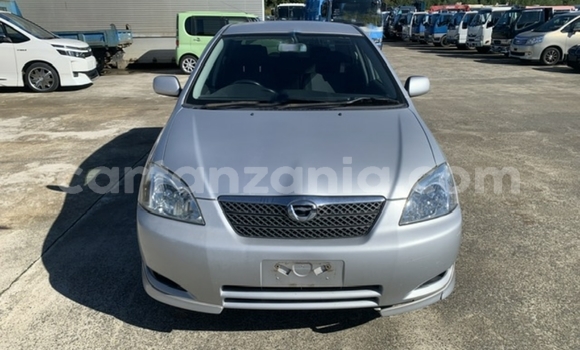 Buy Import Toyota Runx Silver Car in Dar es Salaam in Dar es Salaam
