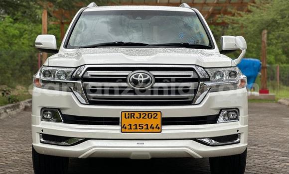 Buy New Toyota Land Cruiser White Car in Dar es Salaam in Dar es Salaam