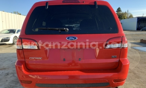 Buy Import Ford Escape Red Car in Dar es Salaam in Dar es Salaam Buy Import Ford Escape Red Car in Dar es Salaam in Dar es Salaam