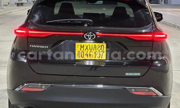 Buy New Toyota Harrier Green Car in Dar es Salaam in Dar es Salaam Buy New Toyota Harrier Green Car in Dar es Salaam in Dar es Salaam