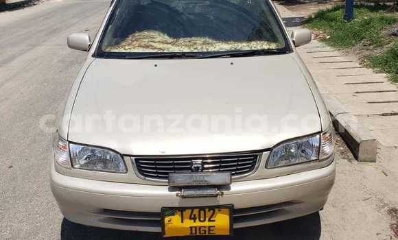 Buy Used Toyota Corolla Other Car in Babati Rural in Manyara Buy Used Toyota Corolla Other Car in Babati Rural in Manyara