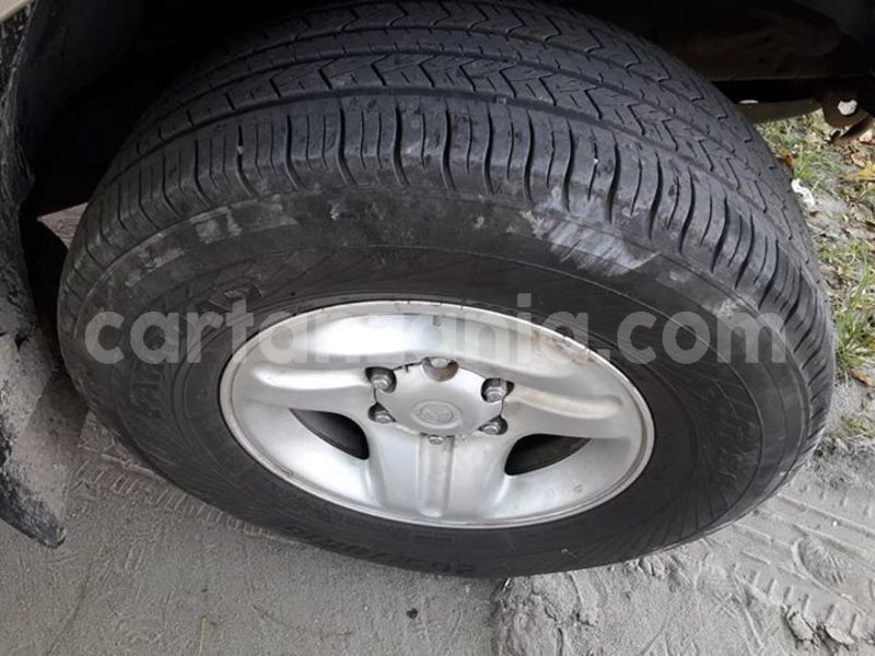 Big with watermark 52258726 10156535939201865 1371710102192521216 n