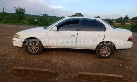 Buy Used Hyundai Terracan White Car in Dar es Salaam in Dar es Salaam Buy Used Hyundai Terracan White Car in Dar es Salaam in Dar es Salaam