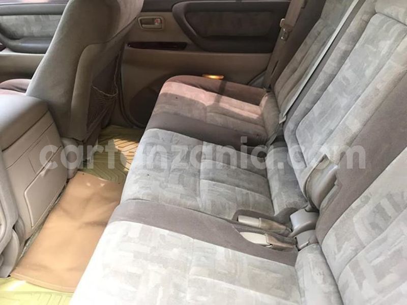 Big with watermark 51196907 10156512911841865 3118606471231700992 n