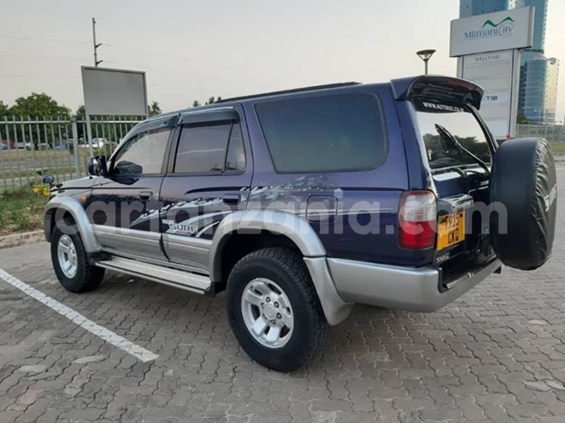 Big with watermark 51392165 10156512872581865 3376503245718421504 n
