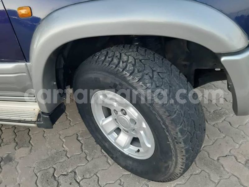Big with watermark 51049344 10156512872611865 8357833103330246656 n