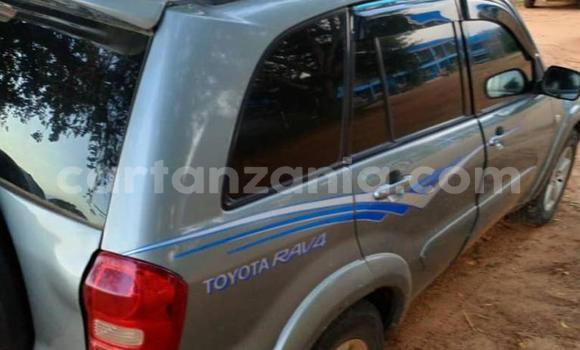 Buy Used Toyota RAV4 Silver Car in Arusha in Arusha Buy Used Toyota RAV4 Silver Car in Arusha in Arusha