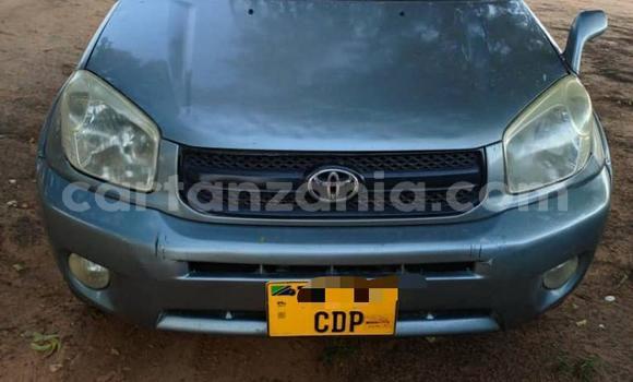 Buy Used Toyota RAV4 Silver Car in Arusha in Arusha Buy Used Toyota RAV4 Silver Car in Arusha in Arusha