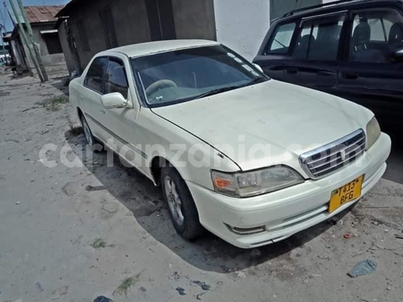 Big with watermark 52259268 116469486117944 7856127549598859264 n