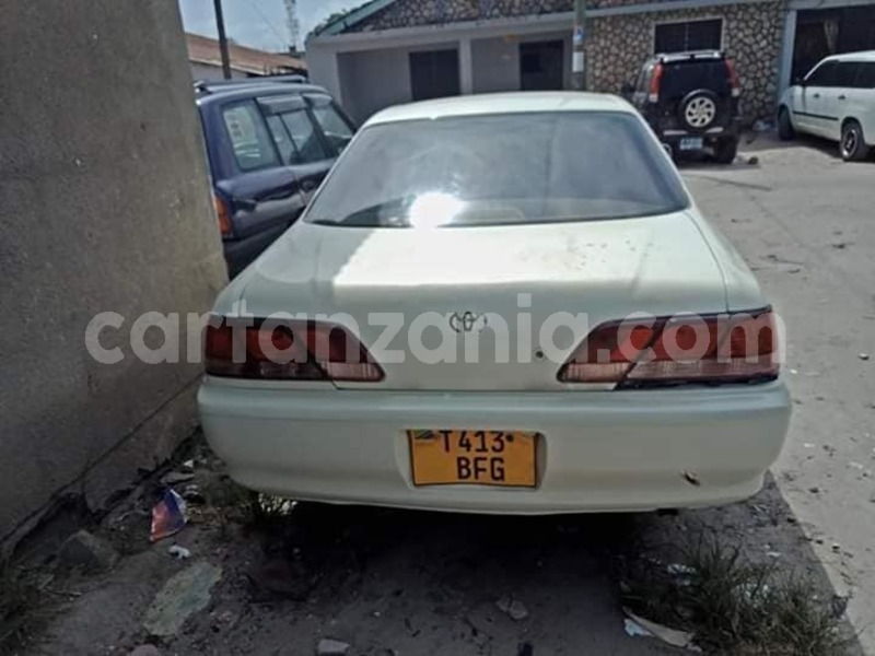 Big with watermark 52258583 116469499451276 9155191041643511808 n