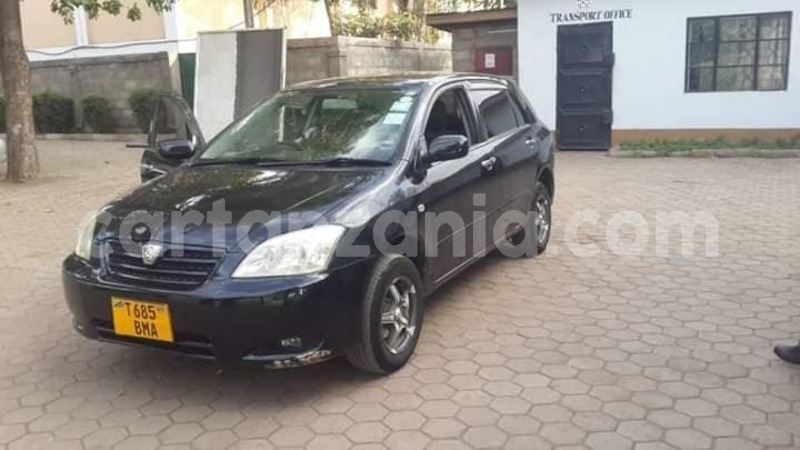 Big with watermark 51844988 2318312141564883 7828503286318628864 n